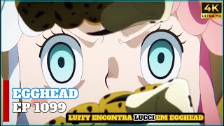Luffy Encontra Lucci Em Egghead Ep 1099