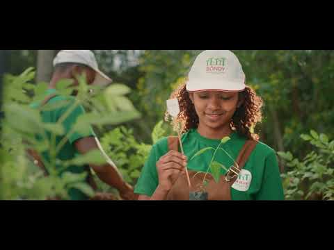 Un téléphone acheté = un arbre planté