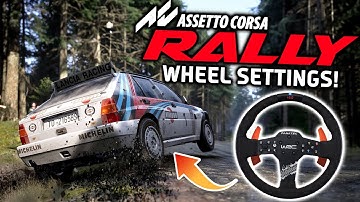 Assetto Corsa Rally | Wheel Settings Guide