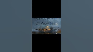 #القرآن_الكريم #راحة_نفسية #تلاوات #صلوا_على_النبي #استغفر_الله #سبحان_الله #الحمدلله #سورة