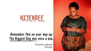 CHRISTINA SHUSHO - NITENDEE (OFFICIAL AUDIO) chords