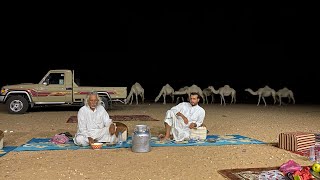 حداء الإبل   🐪   Badia in the Saudi desert  الجمعه 2020/7/17