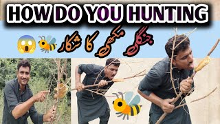 جنگلی مکھیوں کا چھتہ 🪰 توڑ دیا Hunting And 🪰Ant #amazing #farminglife #hunter