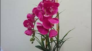 ZURAIDA - COVER BY MIZAN LEON