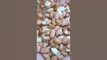 2chute 128 channels peanuts color sorter machine