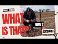 What is that sunday session metal detecting uk