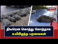 மெக்ஸிகோவில் மர்மமான முறையில் உயிரிழந்த பறவைகள்!!(காணொளி)