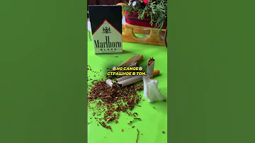 Как СИГАРЕТЫ убивают человека?😰
