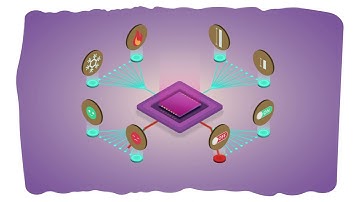 What is the fuzzy logic of life?