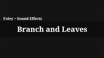 Branch and Leaves / Sound Effect