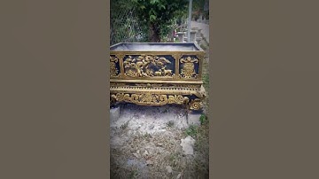 Chậu cảnh, mẫu chậu cảnh đẹp