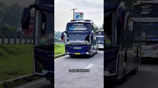 Download Lagu Masi inget nada basuri ini⁉️ MP3