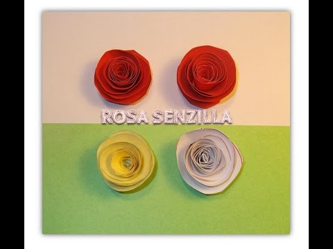 Rosa senzilla