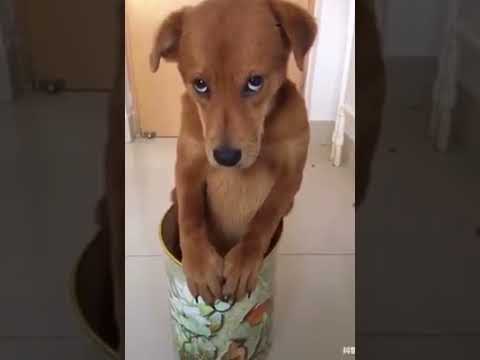 Loading video