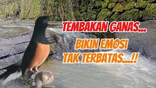 Tembakan istimewa tembakan keras dan ganas langsung bikin emosi dan suasana panas