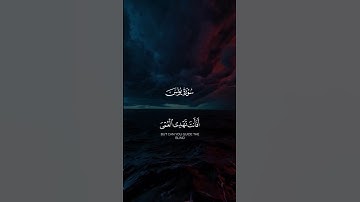 افأنت تهدي العمي ولو كانوا لا يبصرون عبد الرحمن مسعد #عبدالرحمن_مسعد #سورة_يونس #تلاوة_خاشعة