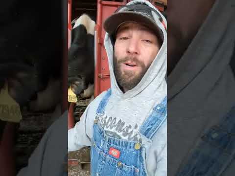 Bottom of COWS