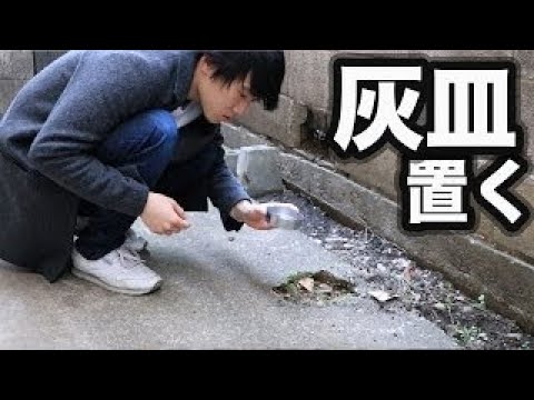 トミーが自転車に轢かれて怪我をしました