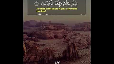 كل من عليها فان القارئ |بندر بن يحيى اليسر| سورة الرحمن 😻.