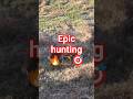 The arrow shot didn't hit hard... Wait for end..#Huntinglife  #Deer #animals #bow #hunting #fyp