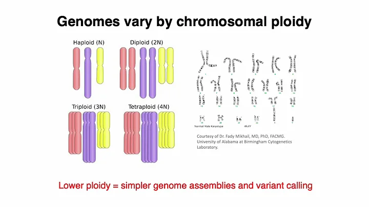 (2022) MCB 182 Lecture 0 - Review of Genes and Gen...