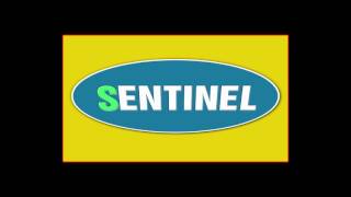 Full sentinel logo News