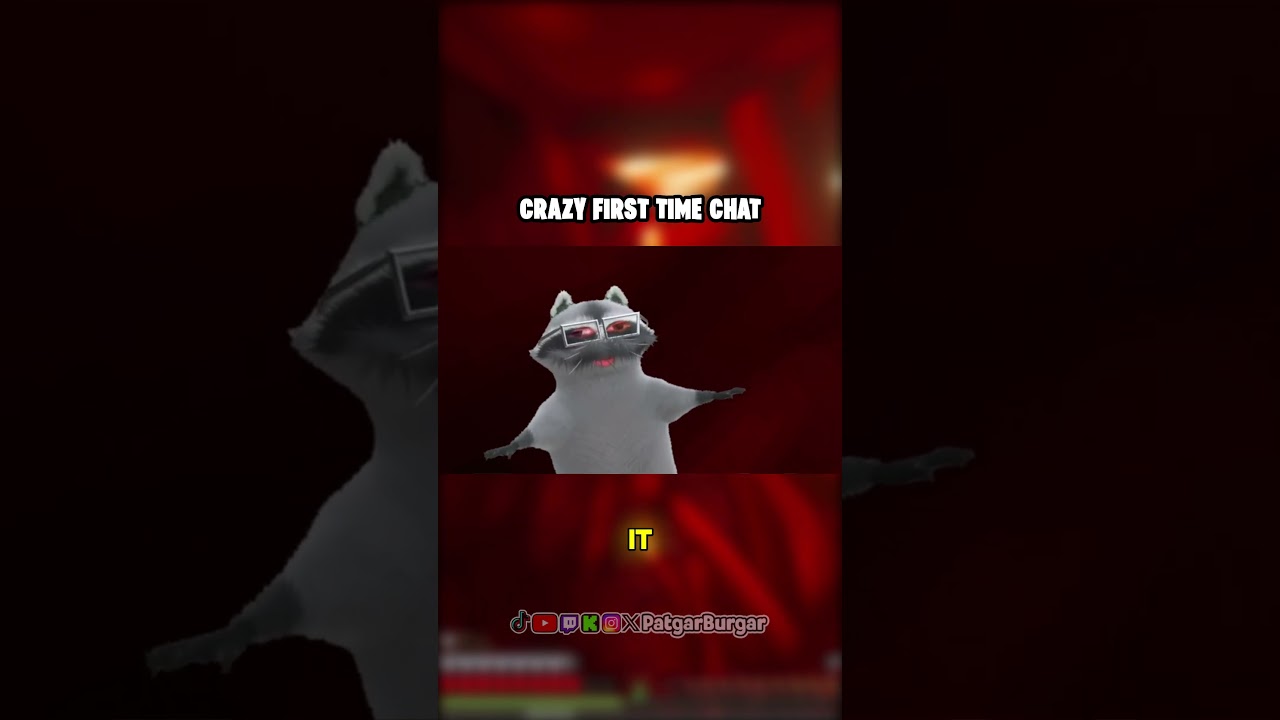 Crazy First Time Chatter #raccoon #patgarburgar #minecraft #streamer