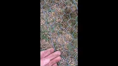 Bob the Fencer - more rabbit fence tricks