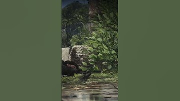 CQC in ghost recon breakpoint#ghostreconbreakpoint ￼