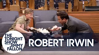 Robert Irwin and Jimmy Feed Baby Pygmy Goats