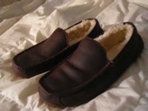 UGG Ascot \