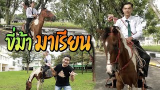 ขี่ม้ามาเรียน | ไทยทึ่ง WOW! THAILAND