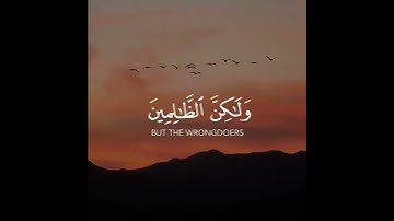 قد نعلم إنه ليحزنك الذي يقولون فإنهم لا يكذبونك ولكن الظالمين | سورة الأنعام | القارئ أحمد النفيس