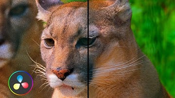 How to "Remove Noise" from a footage in Davinci Resolve 20 Free