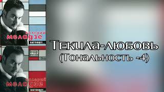 Валерий Меладзе - Текила-любовь | Тональность -4