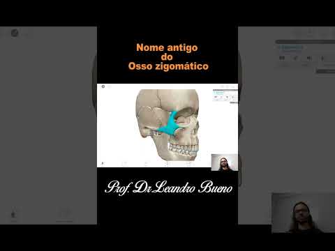Osso Zigomático -