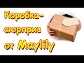 Семья Бровченко. Коробка - сюрприз от Мэй Лили. Супер подарок для детей!!! (10.16г.)