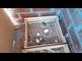 Mis gallinas pusieron un huevo gigante