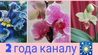 2 года каналу !!! //Я и Ютуб. Обращение к подписчикам. Познакомимся поближе))