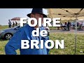 Foire  brion