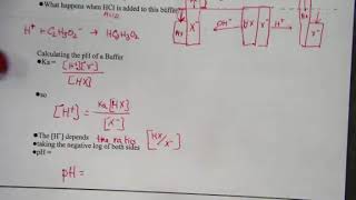Buffers and Buffering Capacity Lessons and Examples