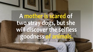 A mother is scared of two stray dogs, but she will discover the selfless goodness of animals..