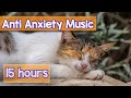 Calming Music for Cats with Anxiety - Deep Soothing Music for Anxious and Stressed Cats! (2020)