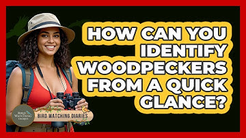 How Can You Identify Woodpeckers From A Quick Glance? - Bird Watching Diaries