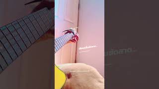 คิดถึง  ปู พงษ์สิทธิ์ คัมภีร์ cover by Ab ชีวตเสรี #cover #intro #music #guitarcover #fingerstyle