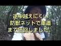 最後にどしゃ降り手蝶山（熊本県美里町）7分ショート版