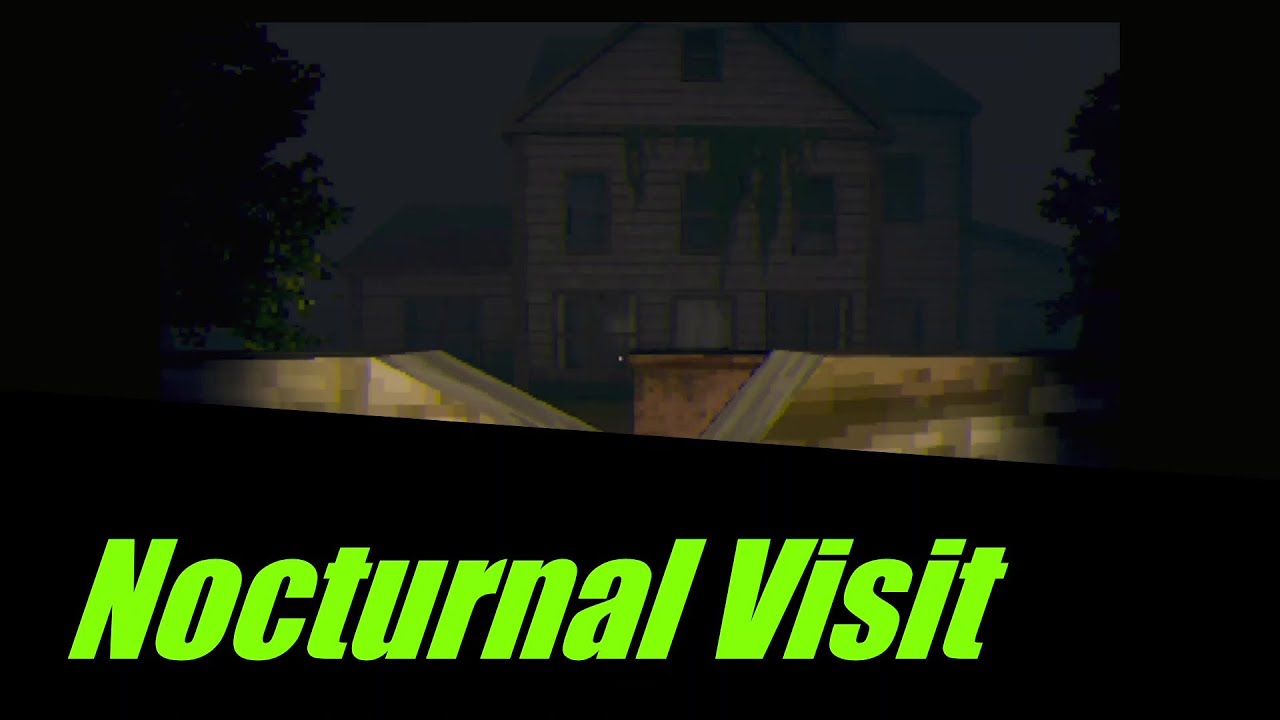 nocturnal visit