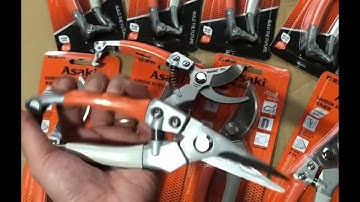 Bộ đôi kéo cắt tỉa Asaki tay cam sữa ,sắc bén giá rẻ lh shop e