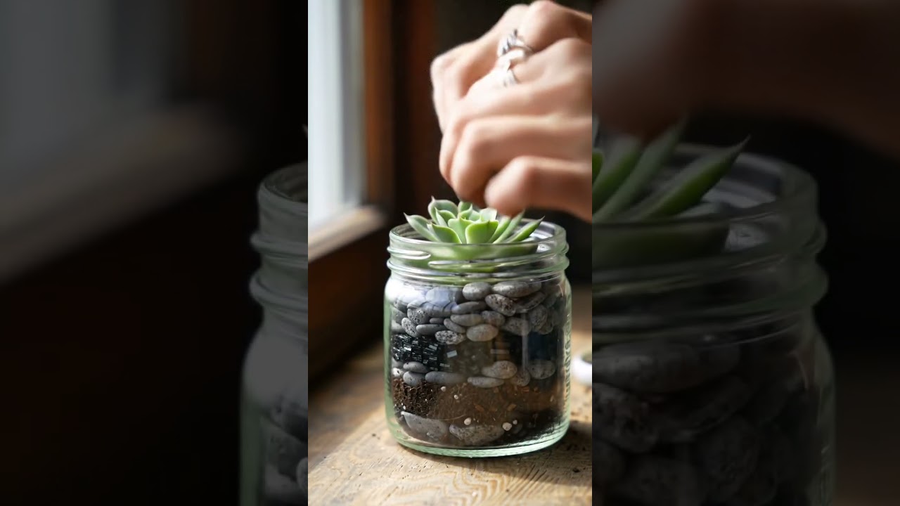 DIY Mini Succulent Planter in 30 Seconds! 🌱
