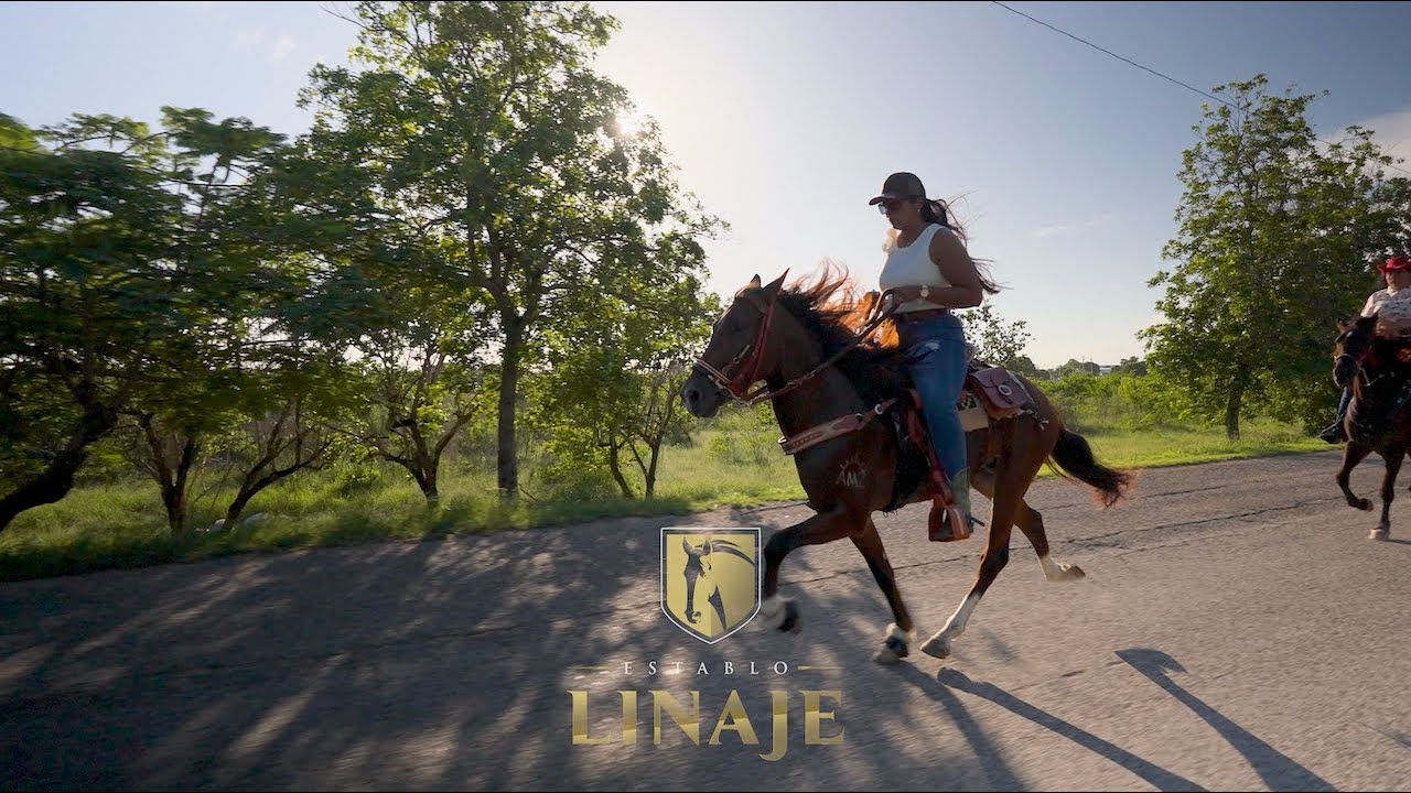 RUMBA MEZCLADOS DE MACHUCHIN